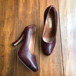 SOPHISTICATED SNAKE 🐍 PRINT L’AUTRE CHOSE HEEL